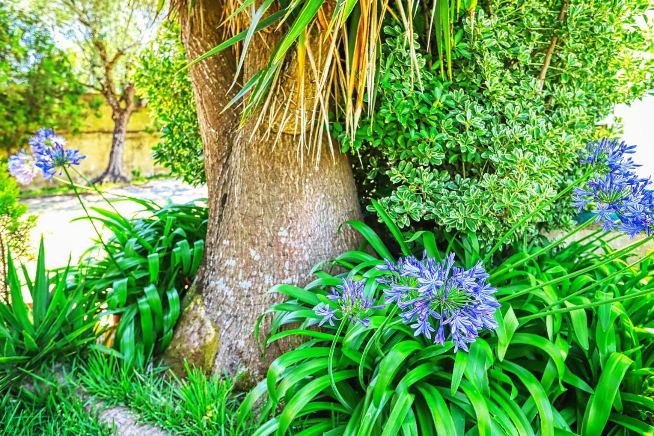 Lugar Saloio Sintra Bed & Breakfast Exterior photo